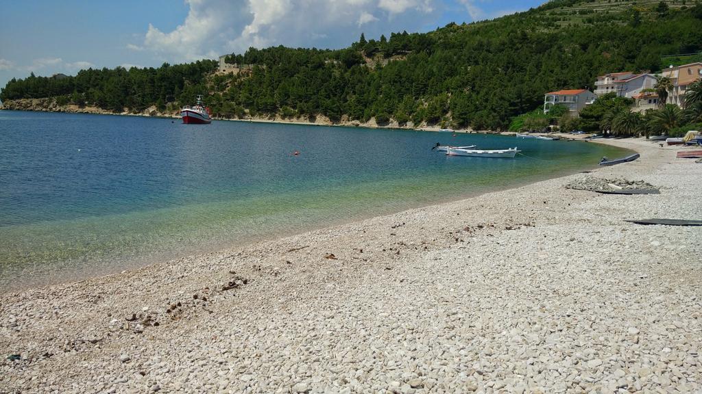 Nedo Dalmatia